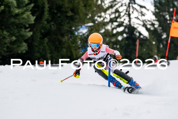 DSV - Actanol Deutscher Schülercup U12 Finale SLX 2026