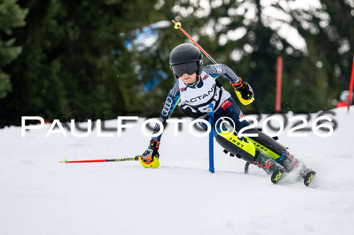 DSV - Actanol Deutscher Schülercup U12 Finale SLX 2026