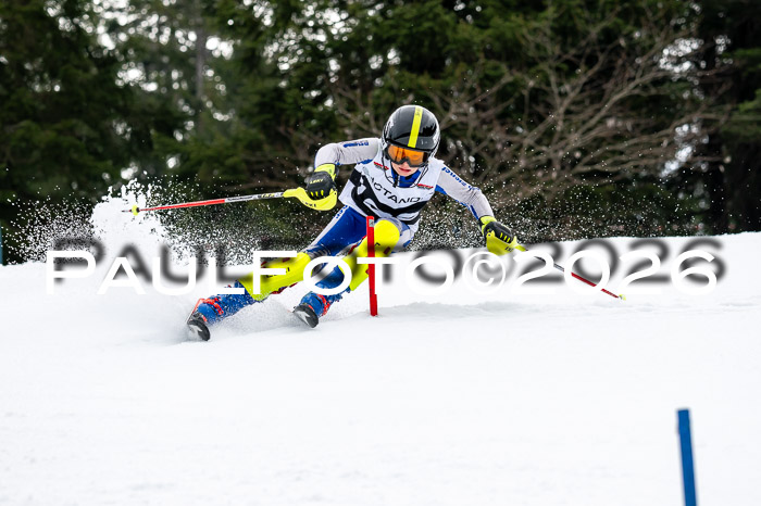 DSV - Actanol Deutscher Schülercup U12 Finale SLX 2026