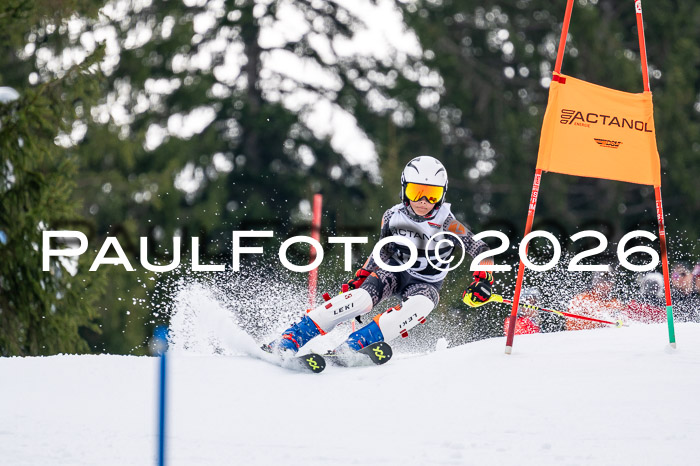 DSV - Actanol Deutscher Schülercup U12 Finale SLX 2026