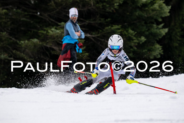 DSV - Actanol Deutscher Schülercup U12 Finale SLX 2026