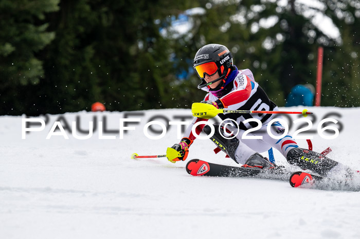 DSV - Actanol Deutscher Schülercup U12 Finale SLX 2026