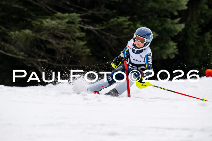 DSV - Actanol Deutscher Schülercup U12 Finale SLX 2026