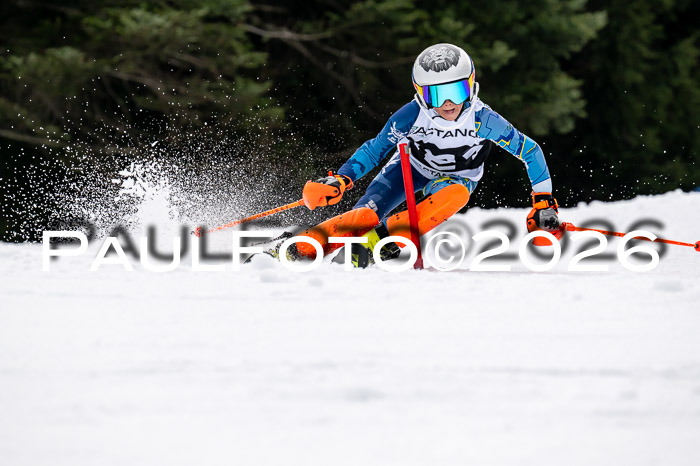 DSV - Actanol Deutscher Schülercup U12 Finale SLX 2026