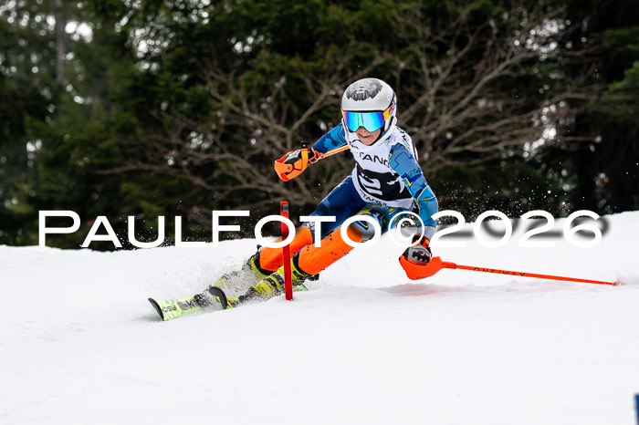 DSV - Actanol Deutscher Schülercup U12 Finale SLX 2026