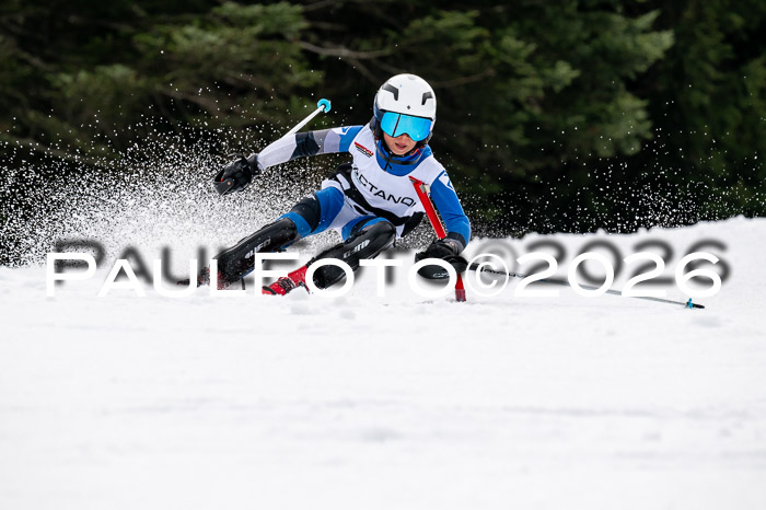 DSV - Actanol Deutscher Schülercup U12 Finale SLX 2026