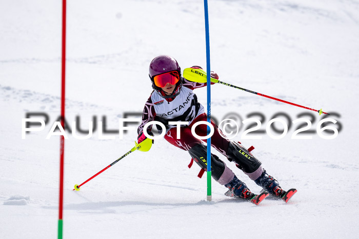 DSV - Actanol Deutscher Schülercup U12 Finale SLX 2026