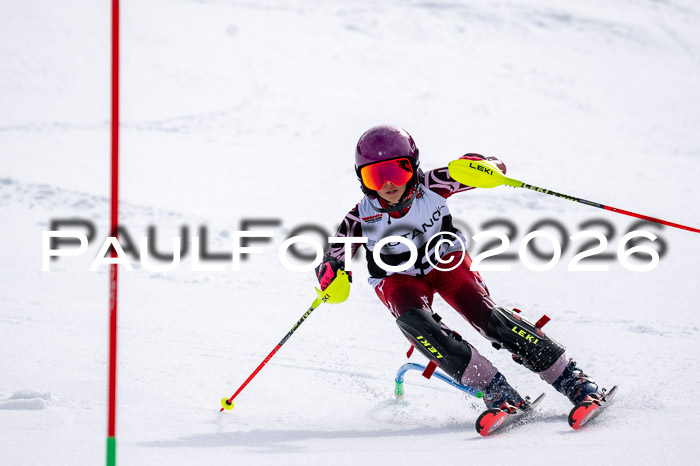 DSV - Actanol Deutscher Schülercup U12 Finale SLX 2026