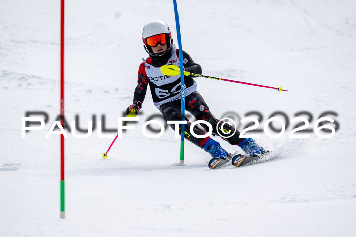 DSV - Actanol Deutscher Schülercup U12 Finale SLX 2026