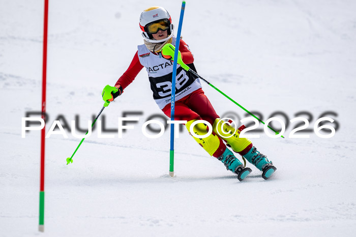 DSV - Actanol Deutscher Schülercup U12 Finale SLX 2026