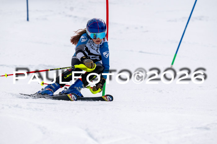 DSV - Actanol Deutscher Schülercup U12 Finale SLX 2026