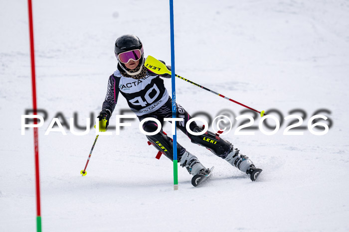 DSV - Actanol Deutscher Schülercup U12 Finale SLX 2026