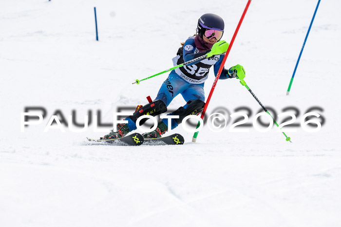 DSV - Actanol Deutscher Schülercup U12 Finale SLX 2026