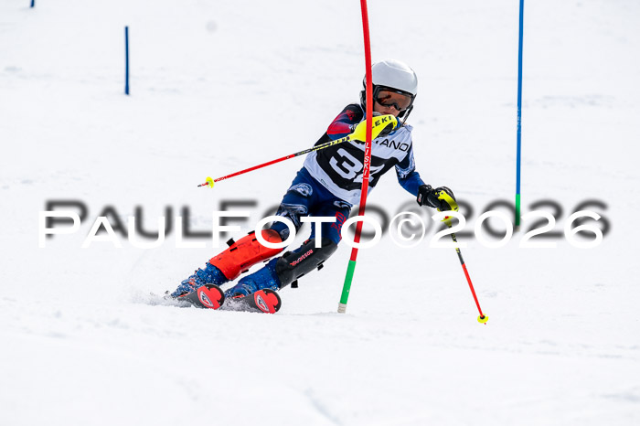 DSV - Actanol Deutscher Schülercup U12 Finale SLX 2026