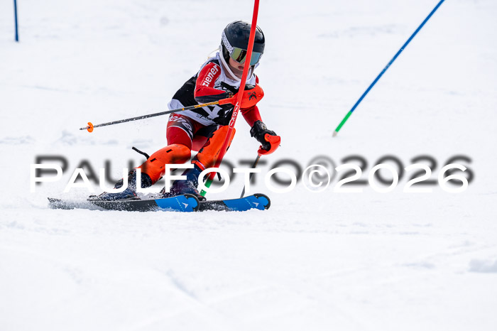 DSV - Actanol Deutscher Schülercup U12 Finale SLX 2026