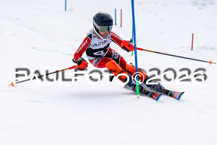 DSV - Actanol Deutscher Schülercup U12 Finale SLX 2026