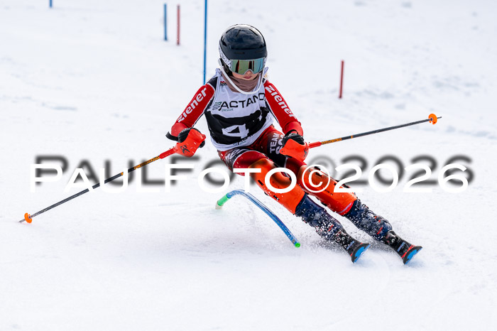 DSV - Actanol Deutscher Schülercup U12 Finale SLX 2026