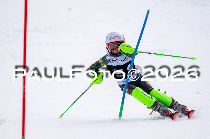 DSV - Actanol Deutscher Schülercup U12 Finale SLX 2026