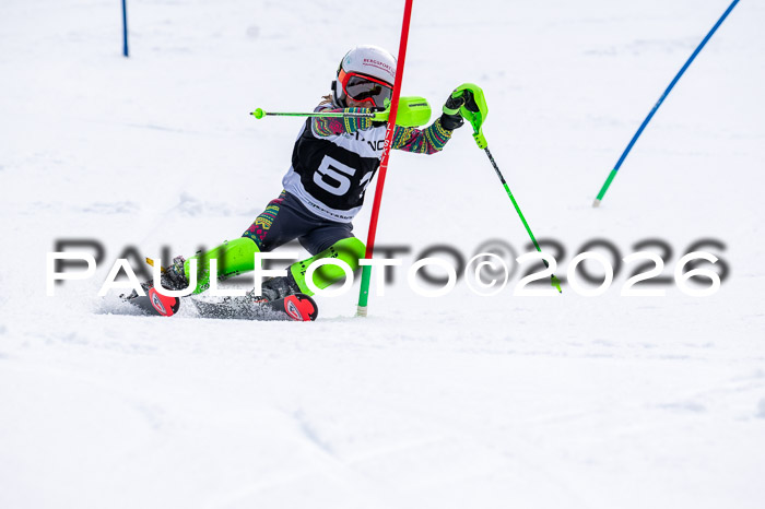 DSV - Actanol Deutscher Schülercup U12 Finale SLX 2026