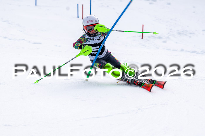 DSV - Actanol Deutscher Schülercup U12 Finale SLX 2026