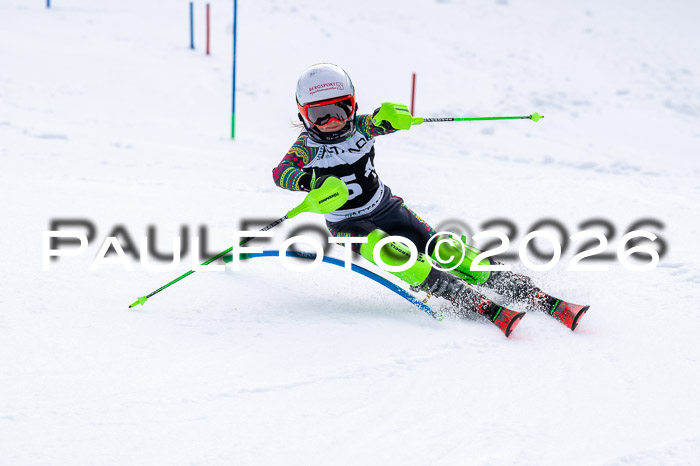 DSV - Actanol Deutscher Schülercup U12 Finale SLX 2026