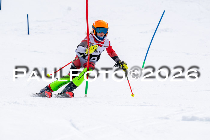 DSV - Actanol Deutscher Schülercup U12 Finale SLX 2026