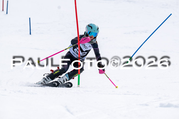 DSV - Actanol Deutscher Schülercup U12 Finale SLX 2026