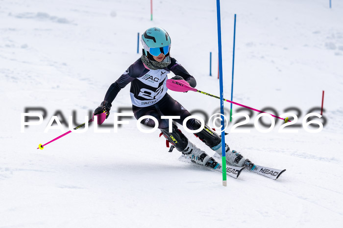 DSV - Actanol Deutscher Schülercup U12 Finale SLX 2026