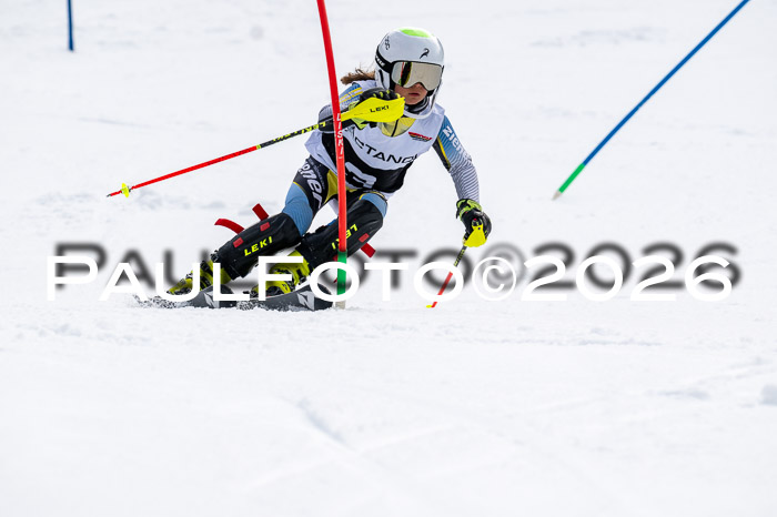 DSV - Actanol Deutscher Schülercup U12 Finale SLX 2026