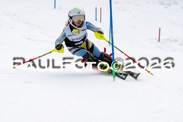 DSV - Actanol Deutscher Schülercup U12 Finale SLX 2026