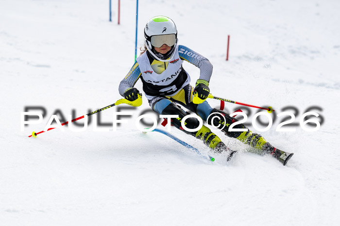 DSV - Actanol Deutscher Schülercup U12 Finale SLX 2026