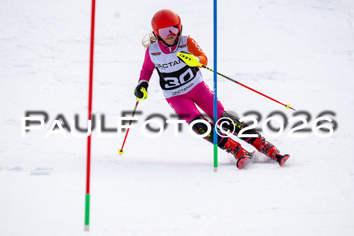 DSV - Actanol Deutscher Schülercup U12 Finale SLX 2026