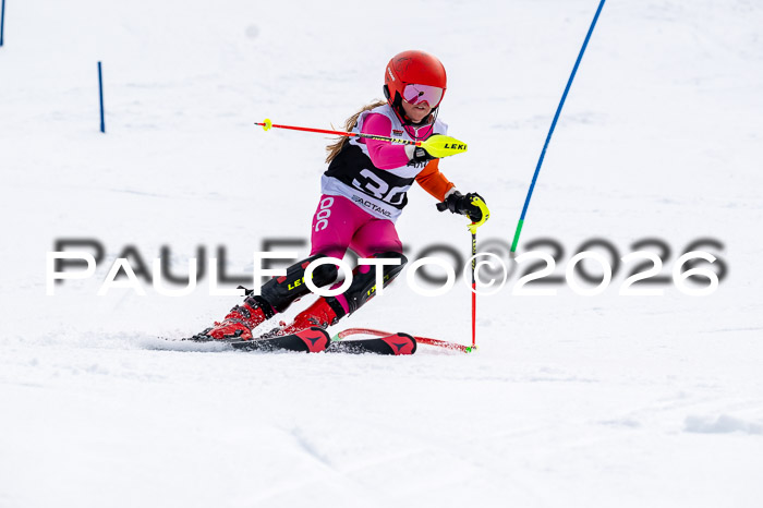 DSV - Actanol Deutscher Schülercup U12 Finale SLX 2026