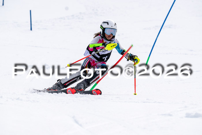 DSV - Actanol Deutscher Schülercup U12 Finale SLX 2026