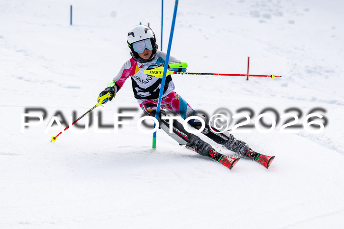 DSV - Actanol Deutscher Schülercup U12 Finale SLX 2026