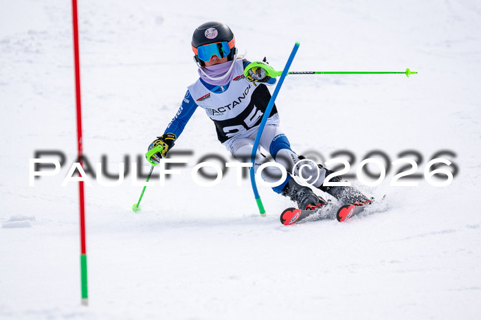 DSV - Actanol Deutscher Schülercup U12 Finale SLX 2026