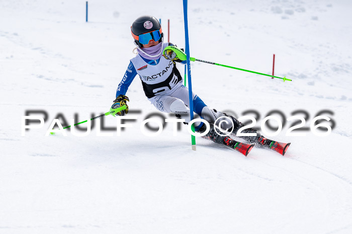 DSV - Actanol Deutscher Schülercup U12 Finale SLX 2026