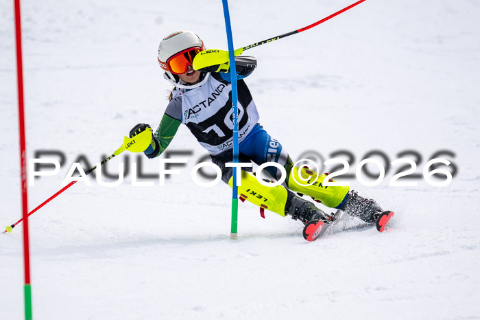 DSV - Actanol Deutscher Schülercup U12 Finale SLX 2026