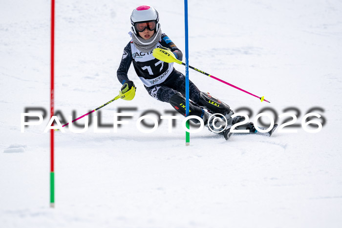 DSV - Actanol Deutscher Schülercup U12 Finale SLX 2026