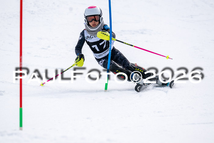 DSV - Actanol Deutscher Schülercup U12 Finale SLX 2026