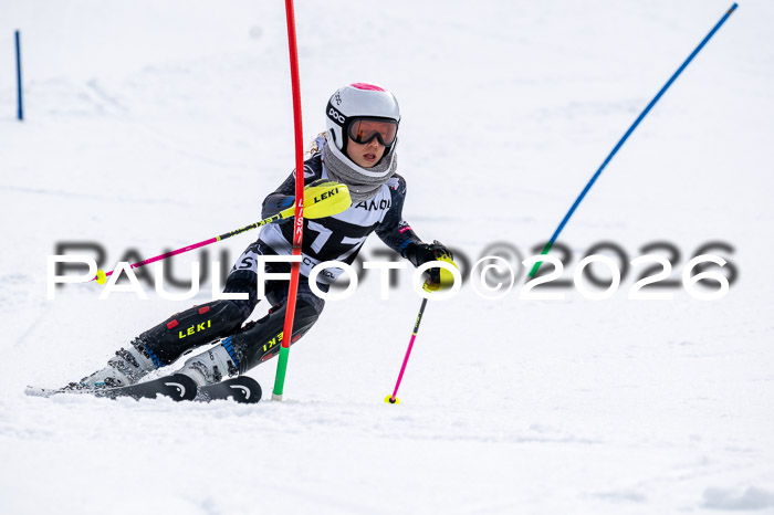 DSV - Actanol Deutscher Schülercup U12 Finale SLX 2026