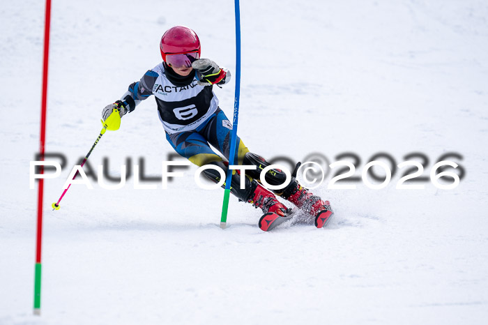 DSV - Actanol Deutscher Schülercup U12 Finale SLX 2026