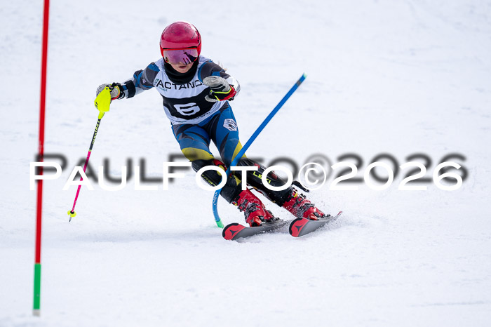 DSV - Actanol Deutscher Schülercup U12 Finale SLX 2026