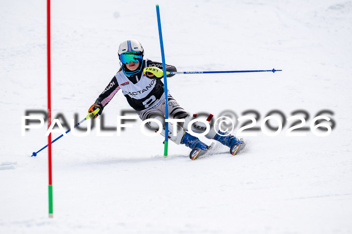 DSV - Actanol Deutscher Schülercup U12 Finale SLX 2026