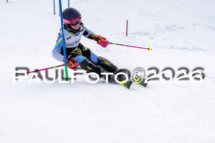 DSV - Actanol Deutscher Schülercup U12 Finale SLX 2026