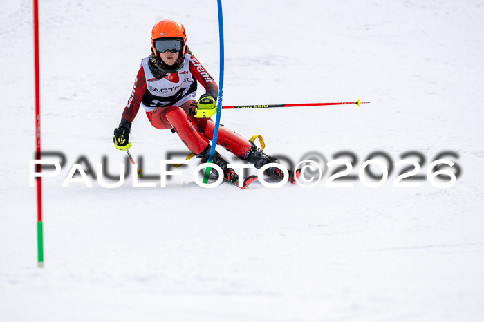 DSV - Actanol Deutscher Schülercup U12 Finale SLX 2026