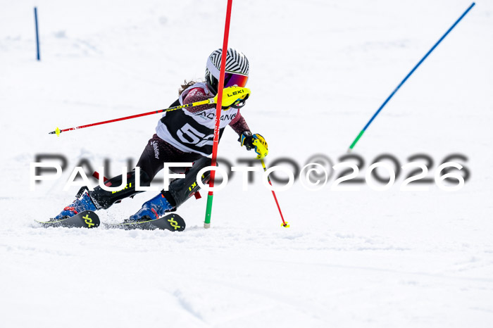 DSV - Actanol Deutscher Schülercup U12 Finale SLX 2026