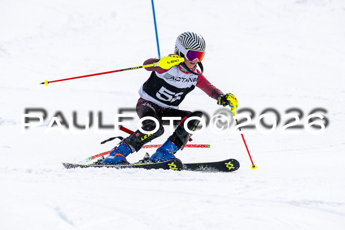 DSV - Actanol Deutscher Schülercup U12 Finale SLX 2026