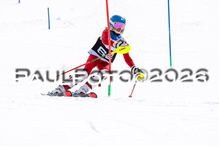 DSV - Actanol Deutscher Schülercup U12 Finale SLX 2026