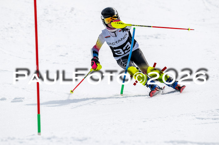 DSV - Actanol Deutscher Schülercup U12 Finale SLX 2026